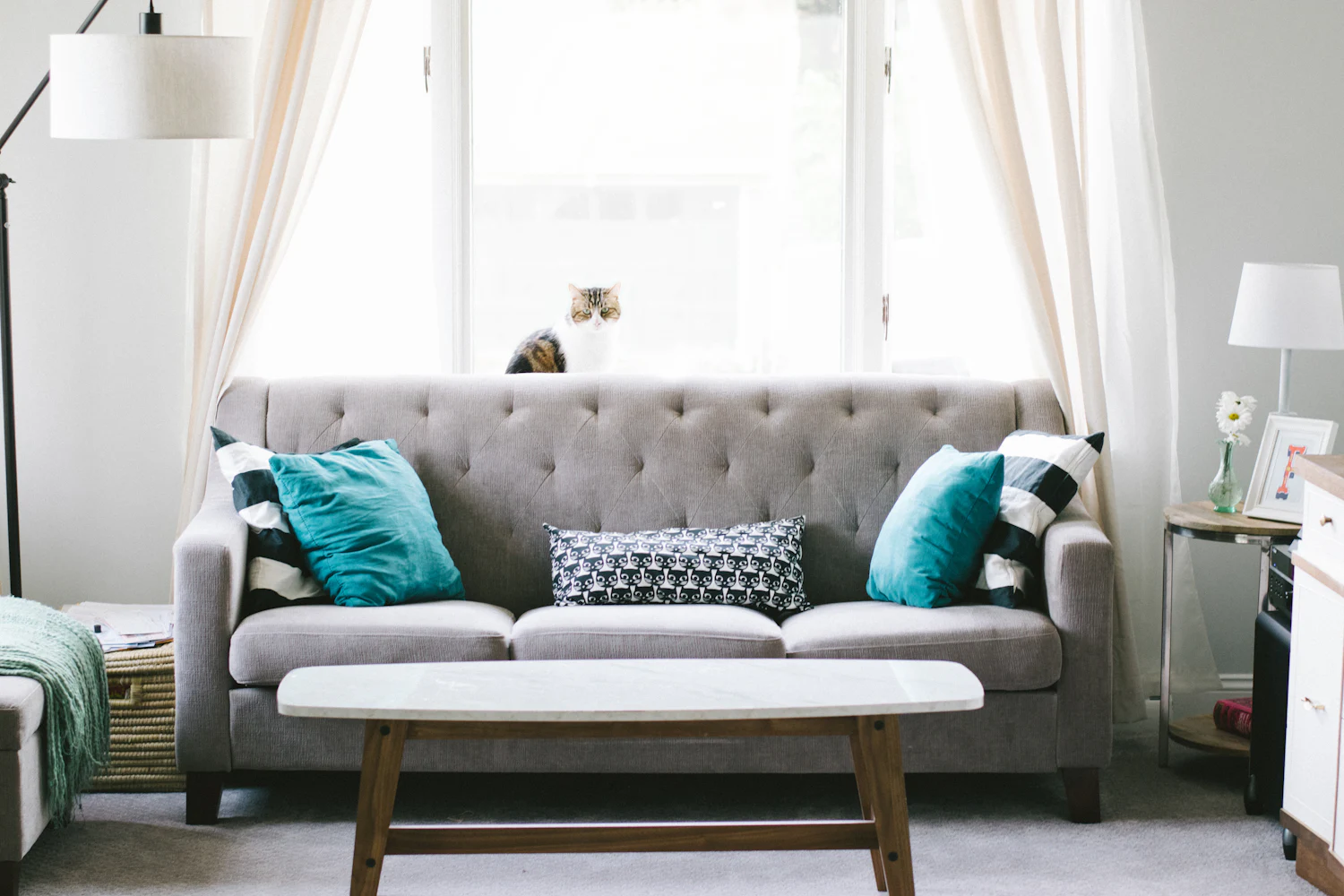 Upholstery Cleaning in Medford, Oregon